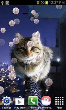 Kitty Cat Live Wallpaper 2 تصوير الشاشة