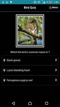 Bird Quiz screenshot 6
