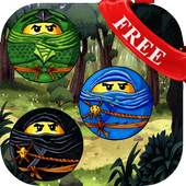 Angry Ninjago Rush 1.0
