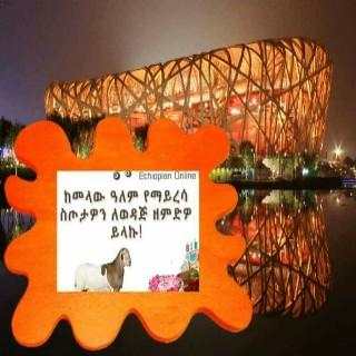 Diaspora Gift shop screenshot 1
