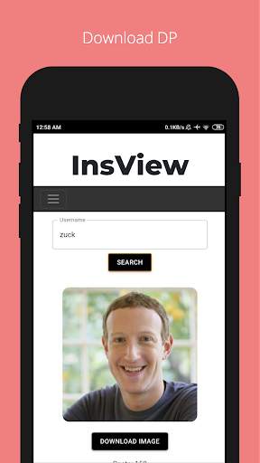 InsView: Download InsDP screenshot 1
