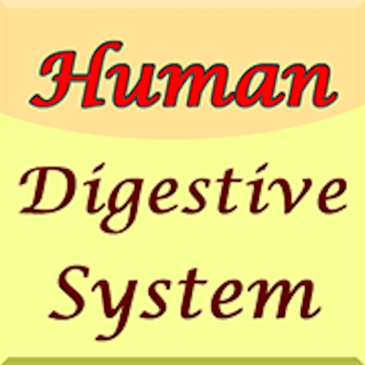 Human Digestive System Guide icon
