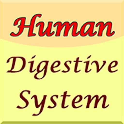 Human Digestive System Guide 6.0