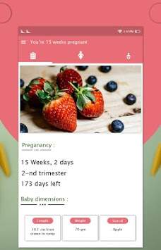 Pregnancy Week By Week screenshot 2