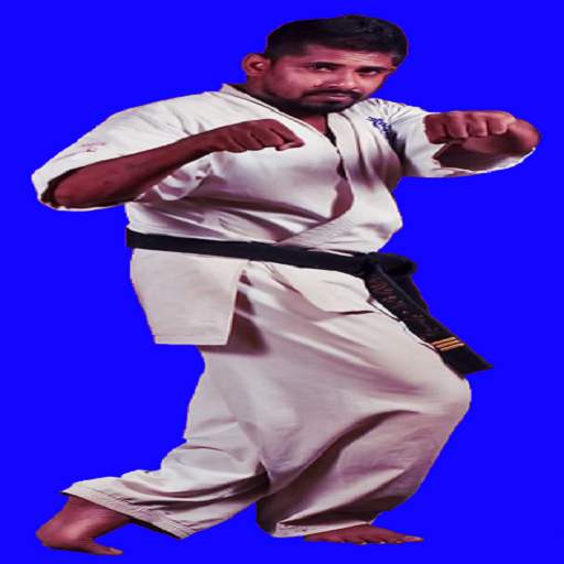 Karate Kyokushin 2.1