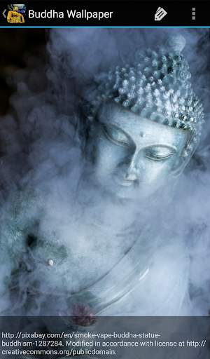 Buddha Wallpaper screenshot 3