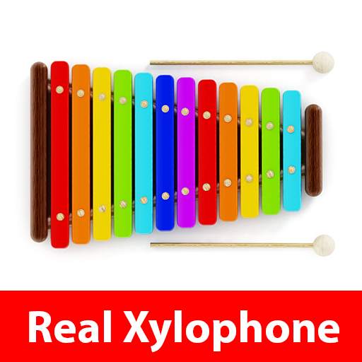 Real Xylophone Play 1.1