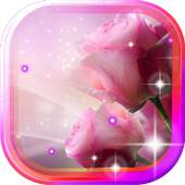 Roses Pink live wallpaper 1.0