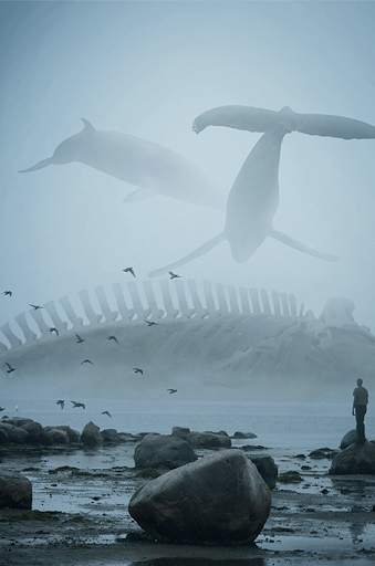Auto Photo Blender - Auto photo mixer 2020 1 تصوير الشاشة