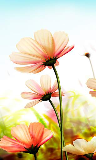 Nature Live Wallpaper Hd screenshot 4