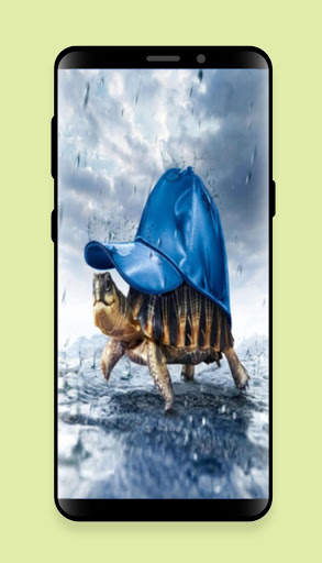 New Funny Wallpaper Live Hd screenshot 3