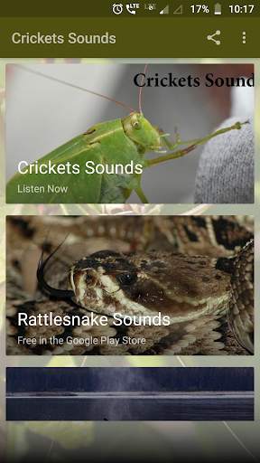 Crickets Sounds screenshot 1