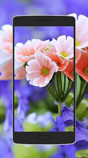 Flower Wallpaper screenshot 5