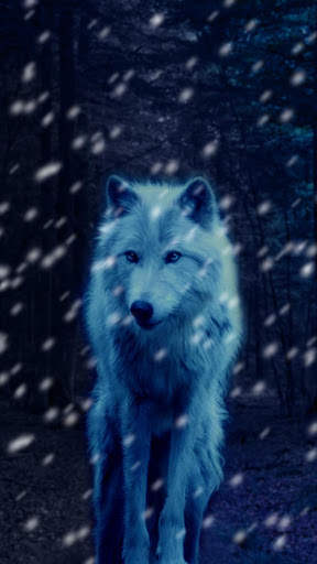 Galaxy ice wolf live wallpaper screenshot 5