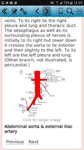 Instant Anatomy, 5th Edition screenshot 3