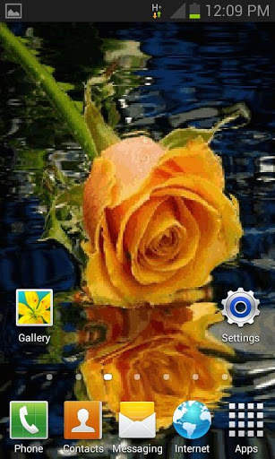 Yellow Rose Reflection LWP screenshot 2