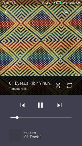 YT Music player screenshot 4