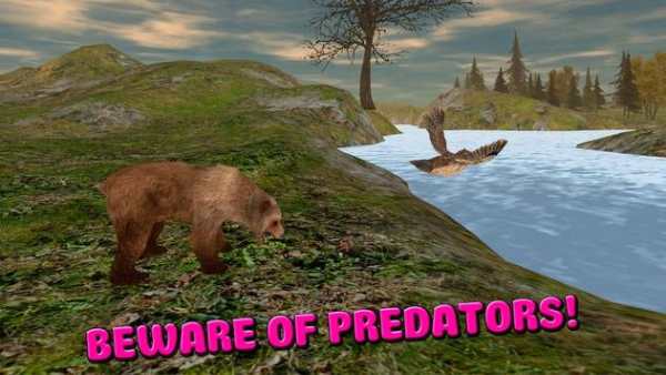 Owl Bird Survival Simulator 3D screenshot 2