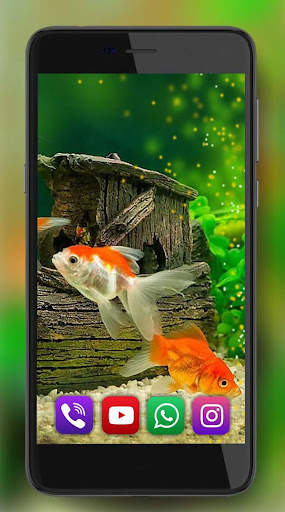 Aquarium Gold Fishes LWP 6 تصوير الشاشة