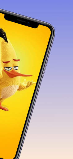 Angry Wallpaper Bird Screen HD स्क्रीनशॉट 5