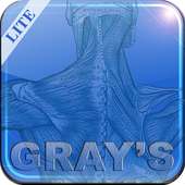 Gray's Anatomy Lite logo