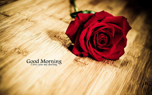 Good morning Images Gifs, Flowers Roses wallpapers screenshot 1