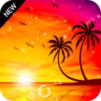 Gallery 2021 on 9Apps