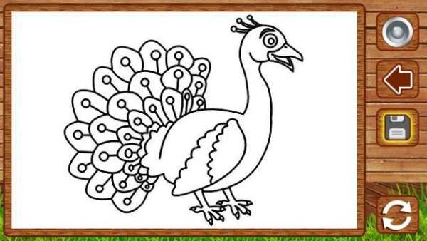 Birds Coloring screenshot 6