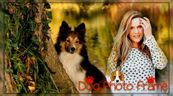 Dog Photo Frame screenshot 2