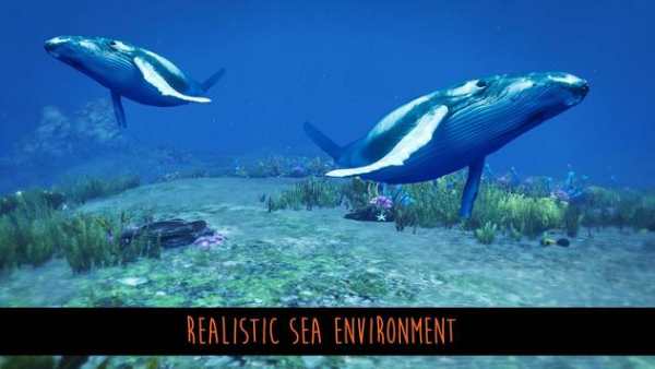 Blue whale sniper hunter 3d game screenshot 1