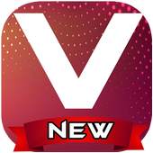 VidMote Video Downloader Guide 1.0