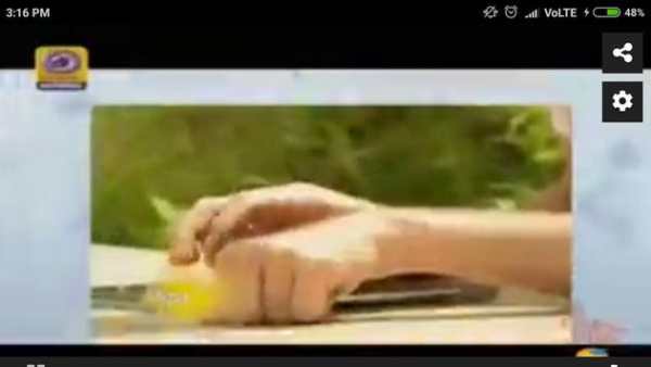 DD National Live TV screenshot 2