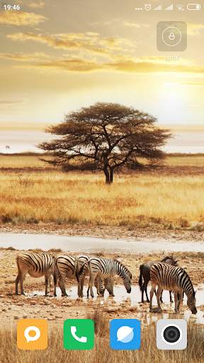 Safari HD Wallpaper screenshot 7