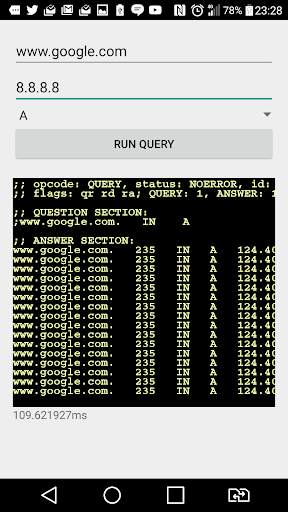 DNS debugger screenshot 2