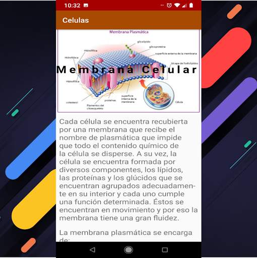 Organelos de la Celula screenshot 7