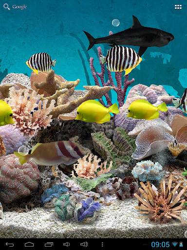 3D Aquarium Live Wallpaper screenshot 3