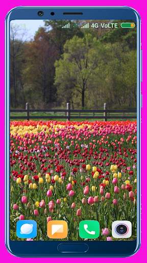 Tulips Flower Wallpaper Best 4K screenshot 13