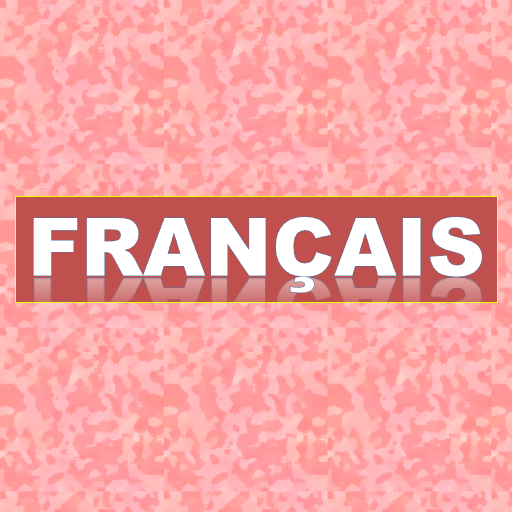 Learn French icon