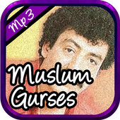 Muslum Gurses şarkılarını - Net Olmadan icon