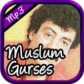 Muslum Gurses şarkılarını - Net Olmadan 1.0
