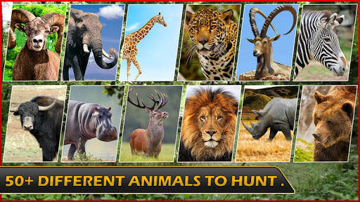 Wild Hunter Animal Hunt Games screenshot 3