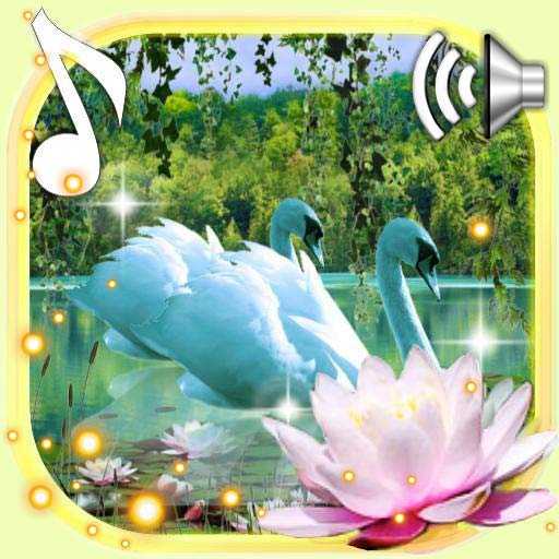 Swans and Lilies LWP 1.14