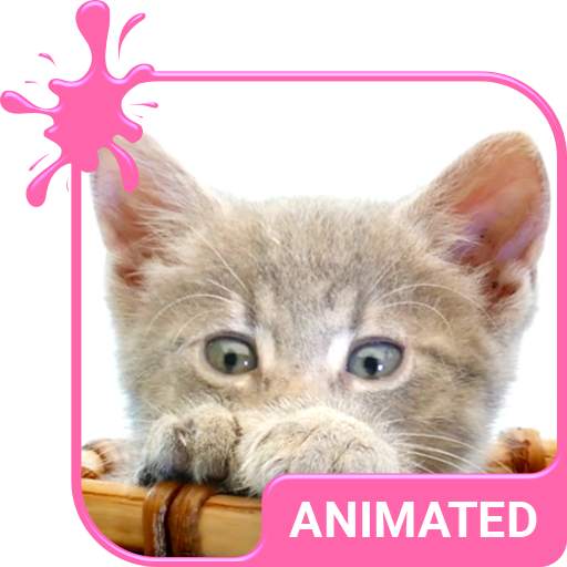 Pretty Kitty Animated Keyboard 5.5.2