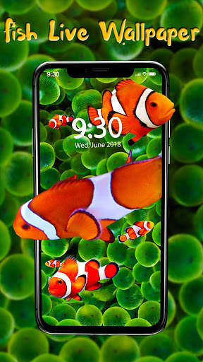 Cute Fish APUS Live Wallpaper screenshot 1