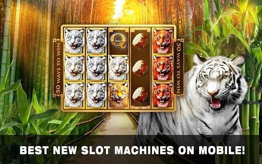 Slots Tiger King Casino Slots screenshot 11