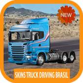 Skins Truck Driving Brasil - TDB 2020 logo