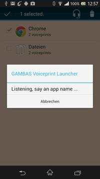 GAMBAS Voiceprint Launcher screenshot 1