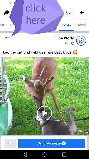 video downloader for facbook video download HD screenshot 1