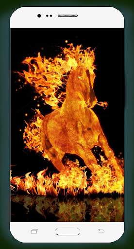 Fire Wallpaper HD screenshot 13