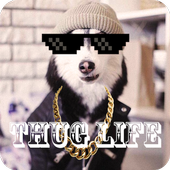 Thug Life Photo Maker Pro icon